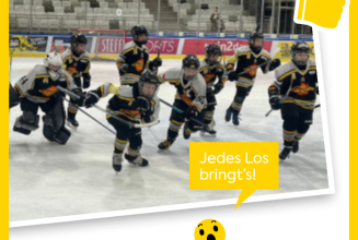 Helft uns beim Lose sammeln!