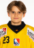 FRIESE